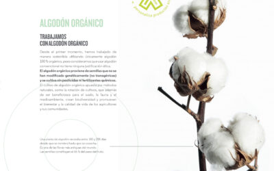 Productos personalizables en algodón orgánico